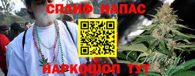 стаф Обнинск