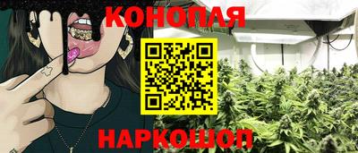 скорость Новодвинск