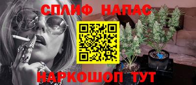 герыч Новокубанск