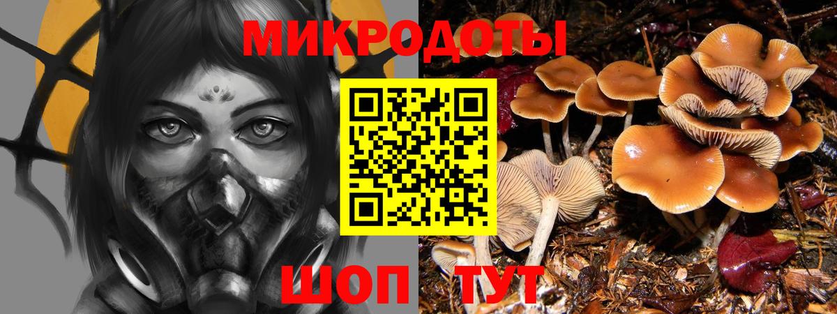 Троицк  Галлюциногенные грибы MAGIC MUSHROOMS  Вход с VPN 