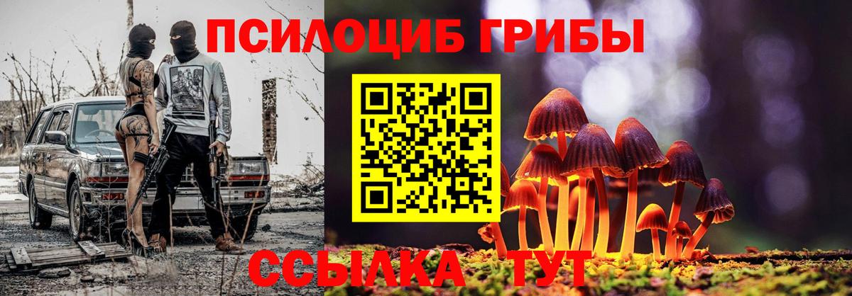 Псилоцибиновые грибы мицелий Троицк
